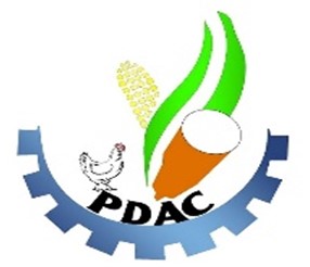Logo 028